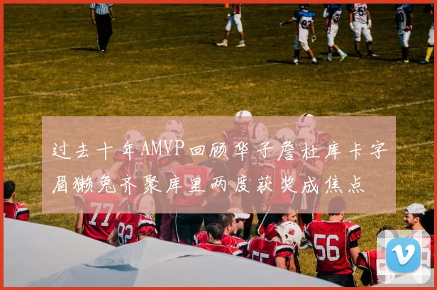 过去十年AMVP回顾华子詹杜库卡字眉獭兔齐聚库里两度获奖成焦点