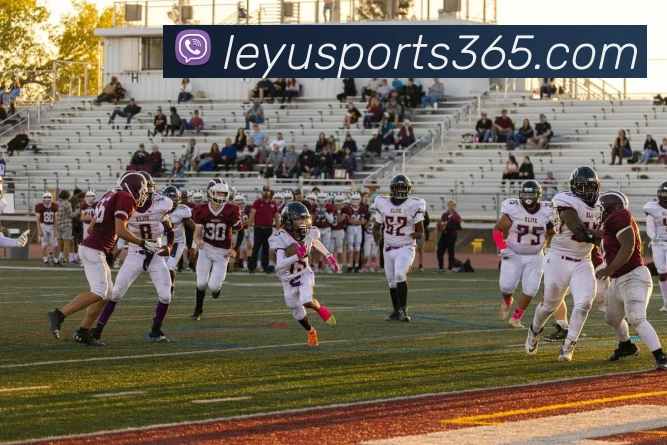 乐鱼体育APP 封面图